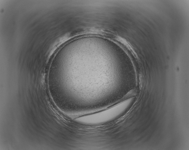 X0000083051260200702161722