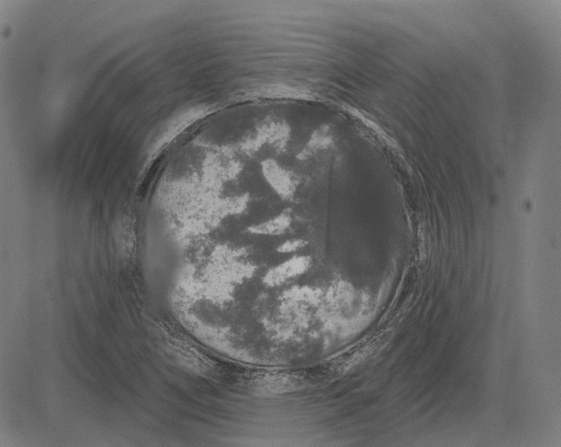 X0000083051266200702161722