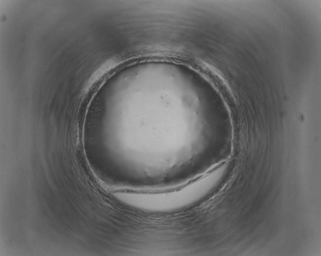 X0000083051267200702161722