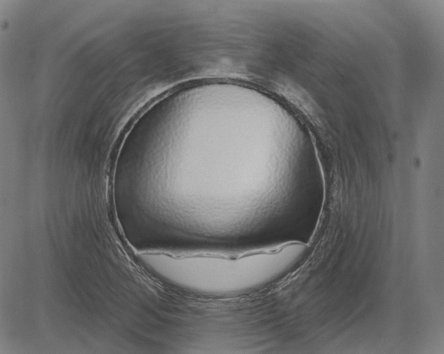 X0000083051268200702161722