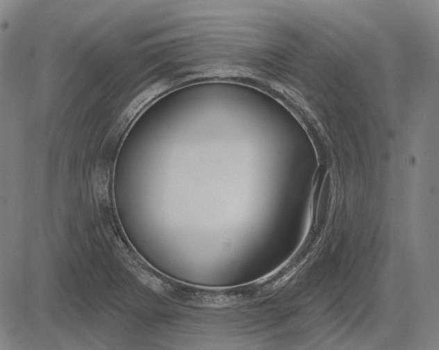 X0000083051273200702161722