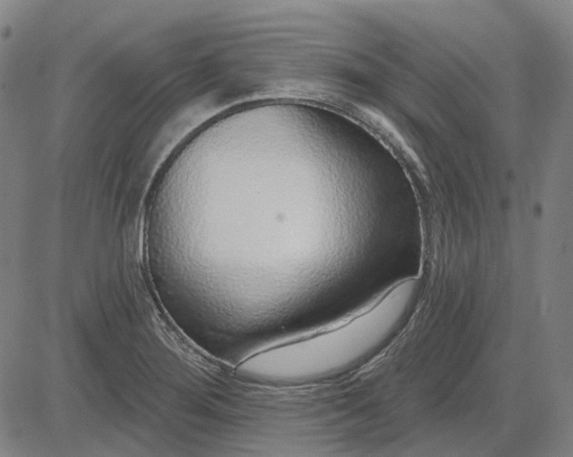X0000083051276200702161722