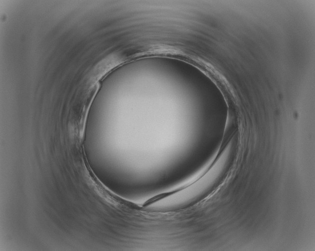 X0000083051281200702161722