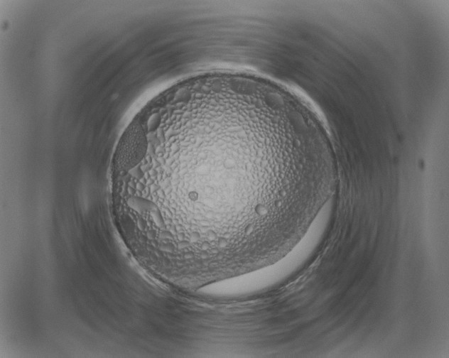 X0000083051287200702161722