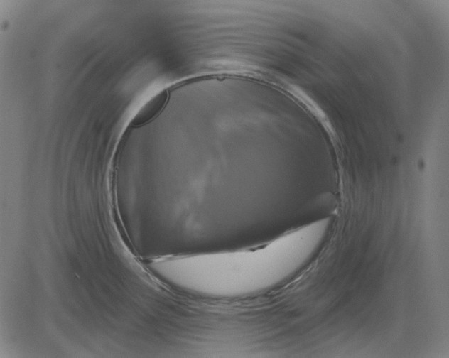 X0000083051291200702161722