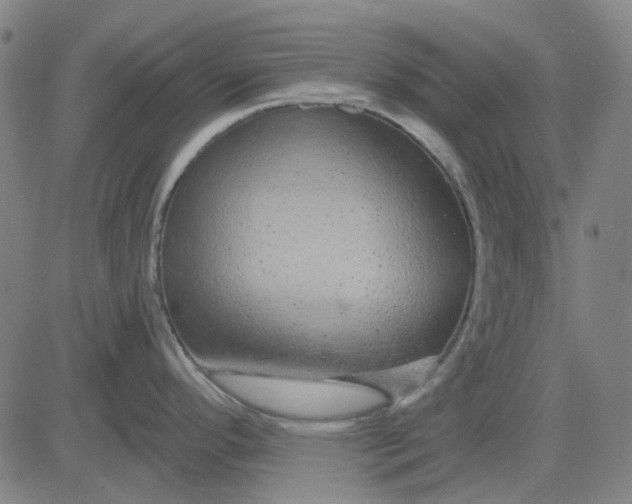 X0000083051296200702161722