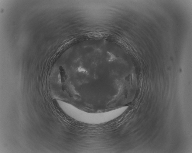 X0000083051297200702161721