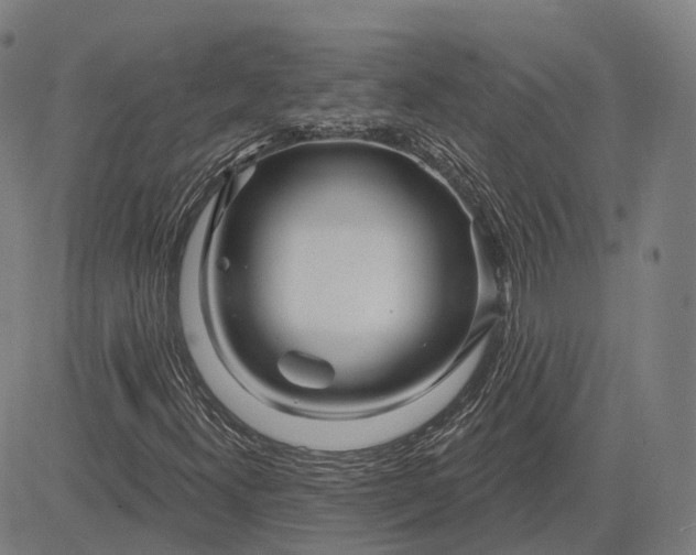 X0000083051300200702161721