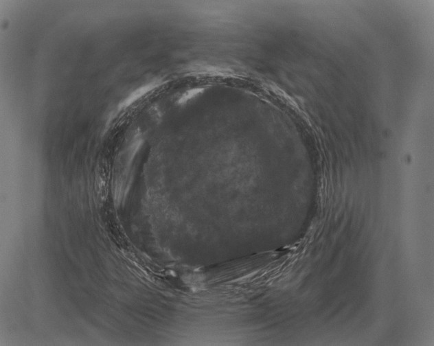 X0000083051303200702161721