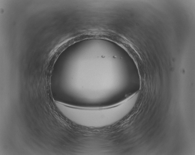 X0000083051304200702161721
