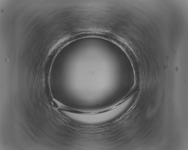 X0000083051307200702161721