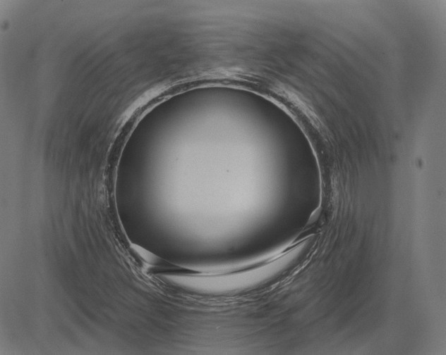 X0000083051308200702161721