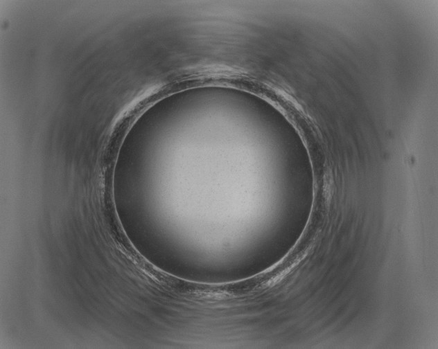 X0000083051309200702161721