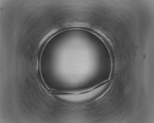 X0000083051317200702161721