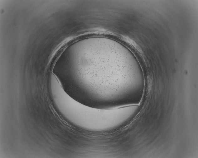 X0000083051318200702161721