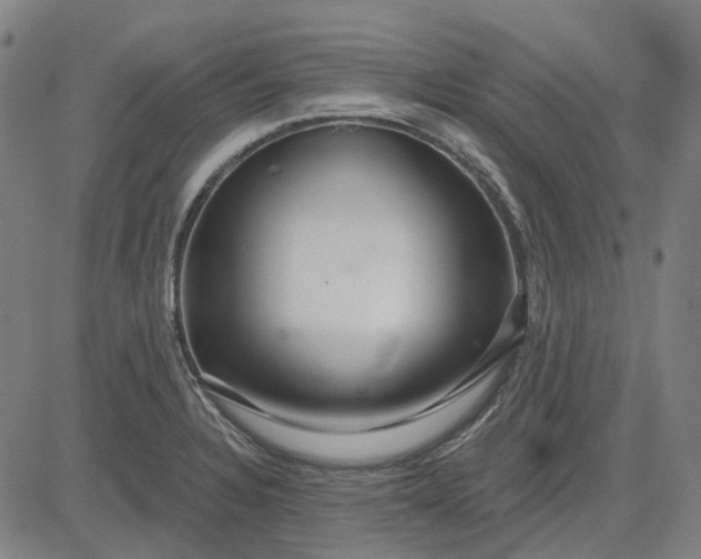 X0000083051328200702161722