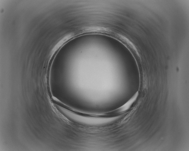 X0000083051330200702161722