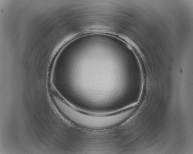 X0000083051333200702161722