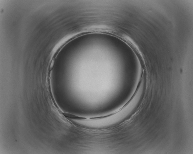 X0000083051336200702161722