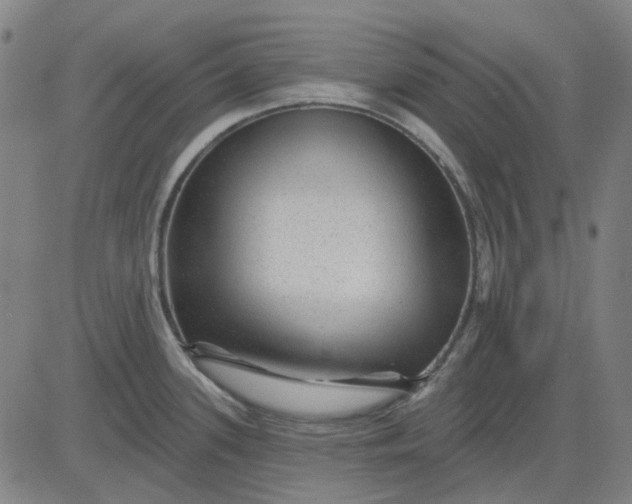 X0000083051339200702161722