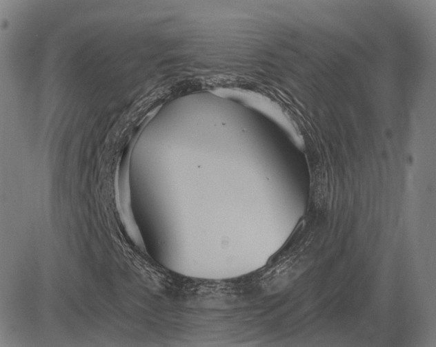 X0000083051345200702161721