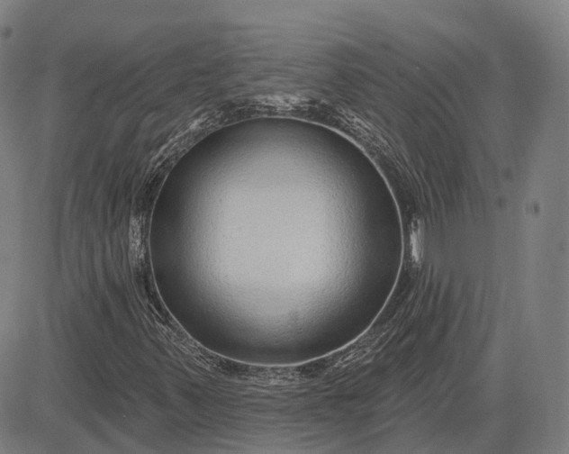 X0000083051347200702161721