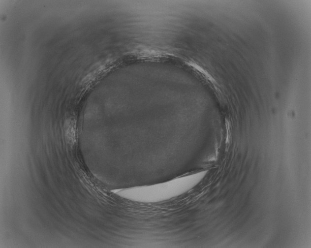 X0000083051348200702161721