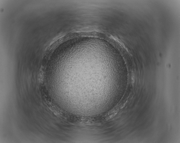 X0000083051350200702161721