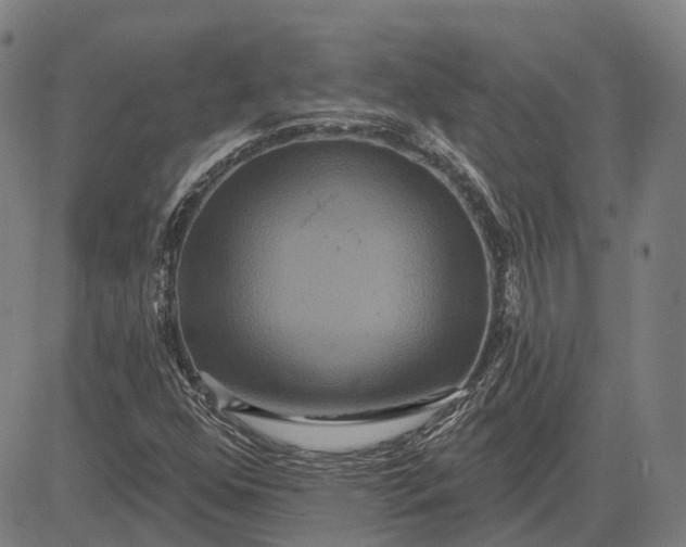 X0000083051352200702161721