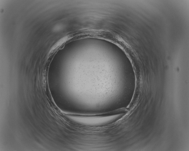 X0000083051354200702161721