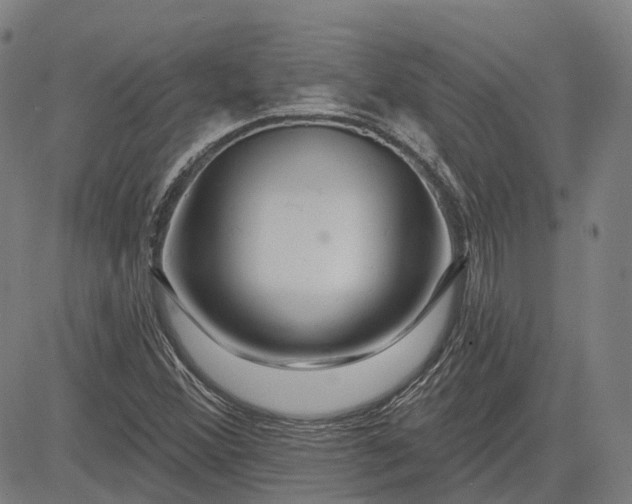 X0000083051356200702161721