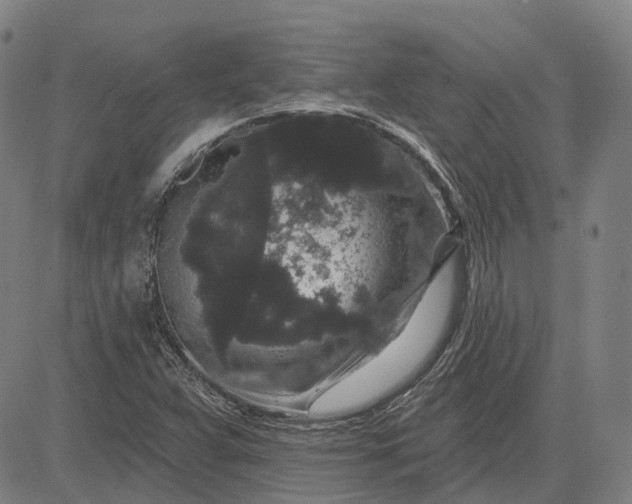 X0000083051359200702161721