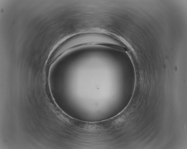 X0000083051364200702161721