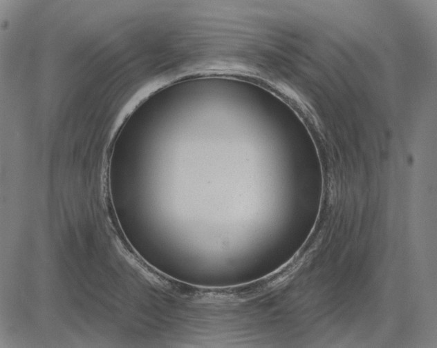 X0000083051374200702161721