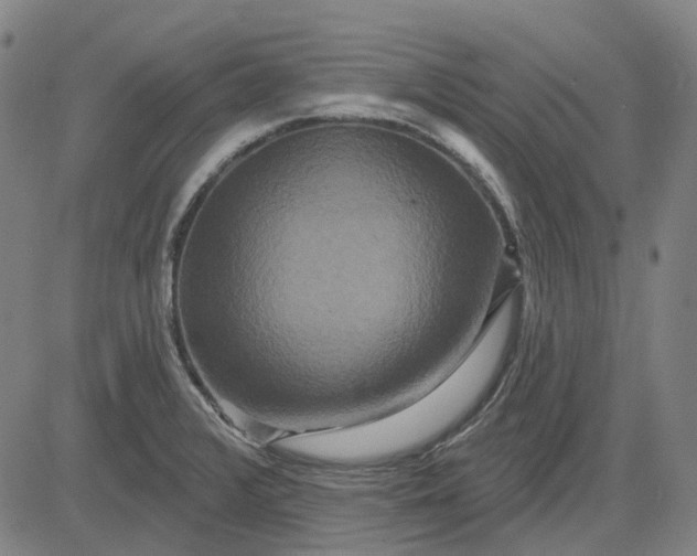 X0000083051376200702161721