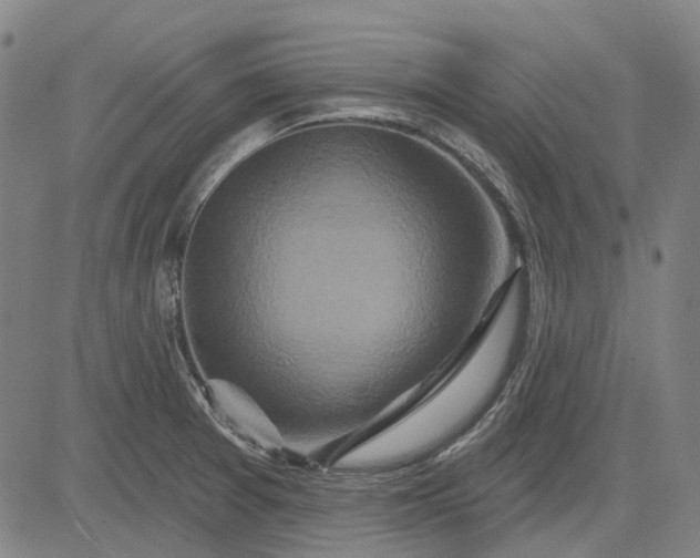 X0000083051377200702161721