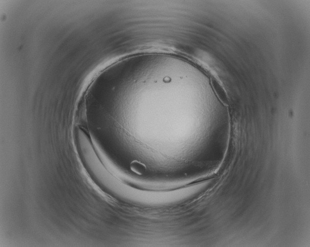 X0000083051379200702161721