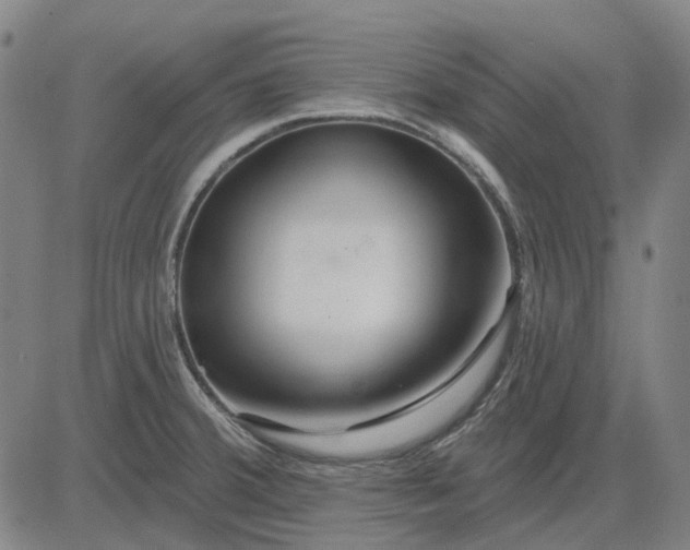 X0000083051380200702161721
