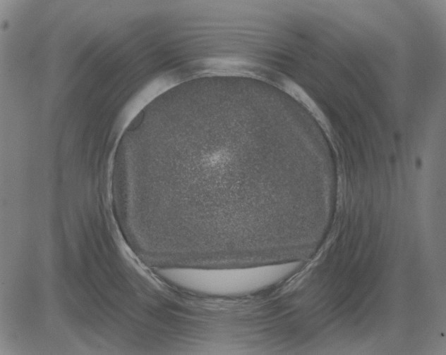 X0000083051386200702161720
