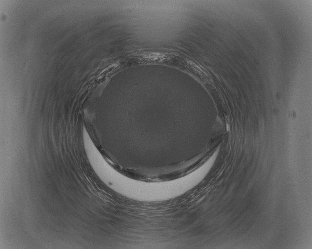 X0000083051394200702161720