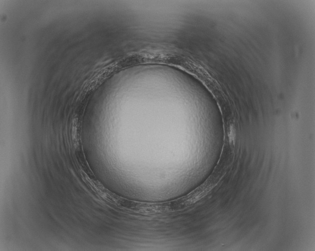 X0000083051396200702161720