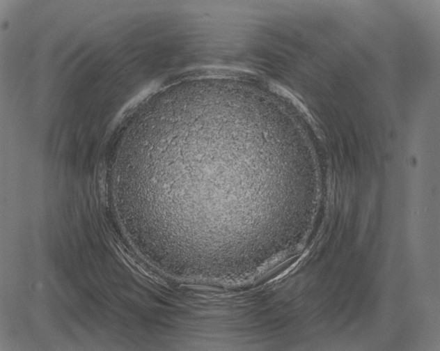 X0000083051403200702161720