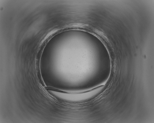 X0000083051404200702161720