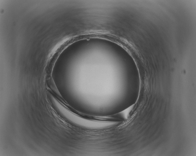 X0000083051406200702161720