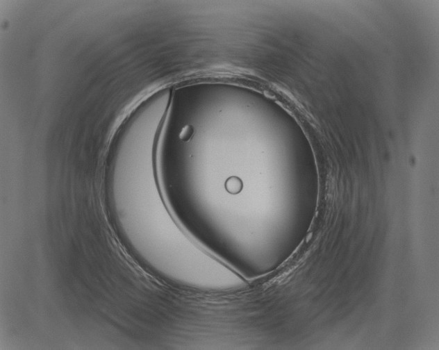 X0000083051410200702161720