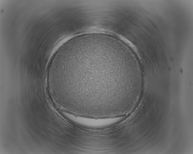 X0000083051415200702161720