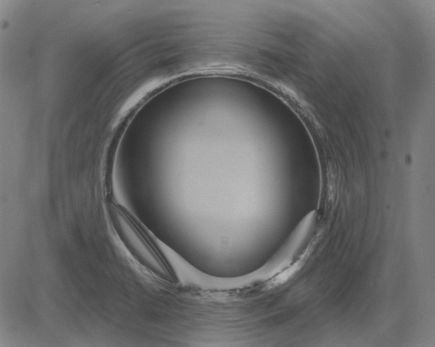 X0000083051422200702161720