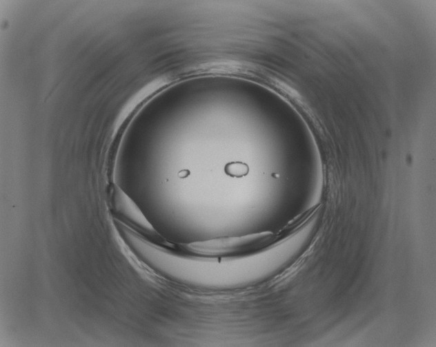 X0000083051426200702161720