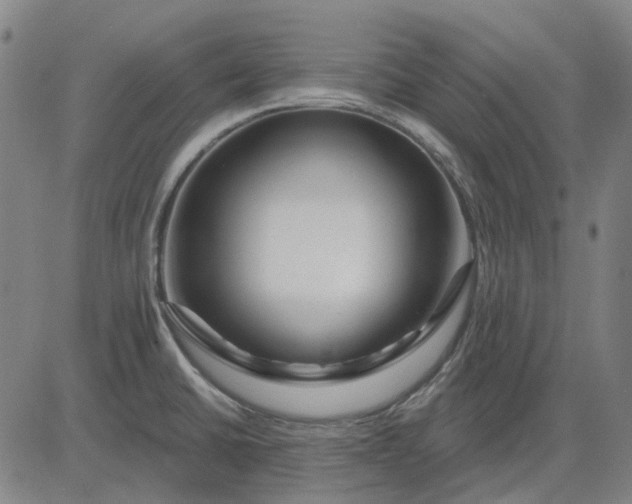 X0000083051430200702161720
