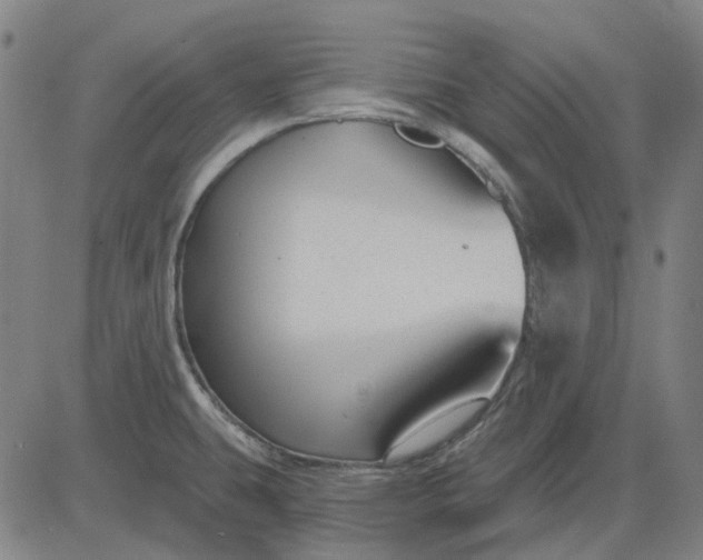 X0000083051431200702161720